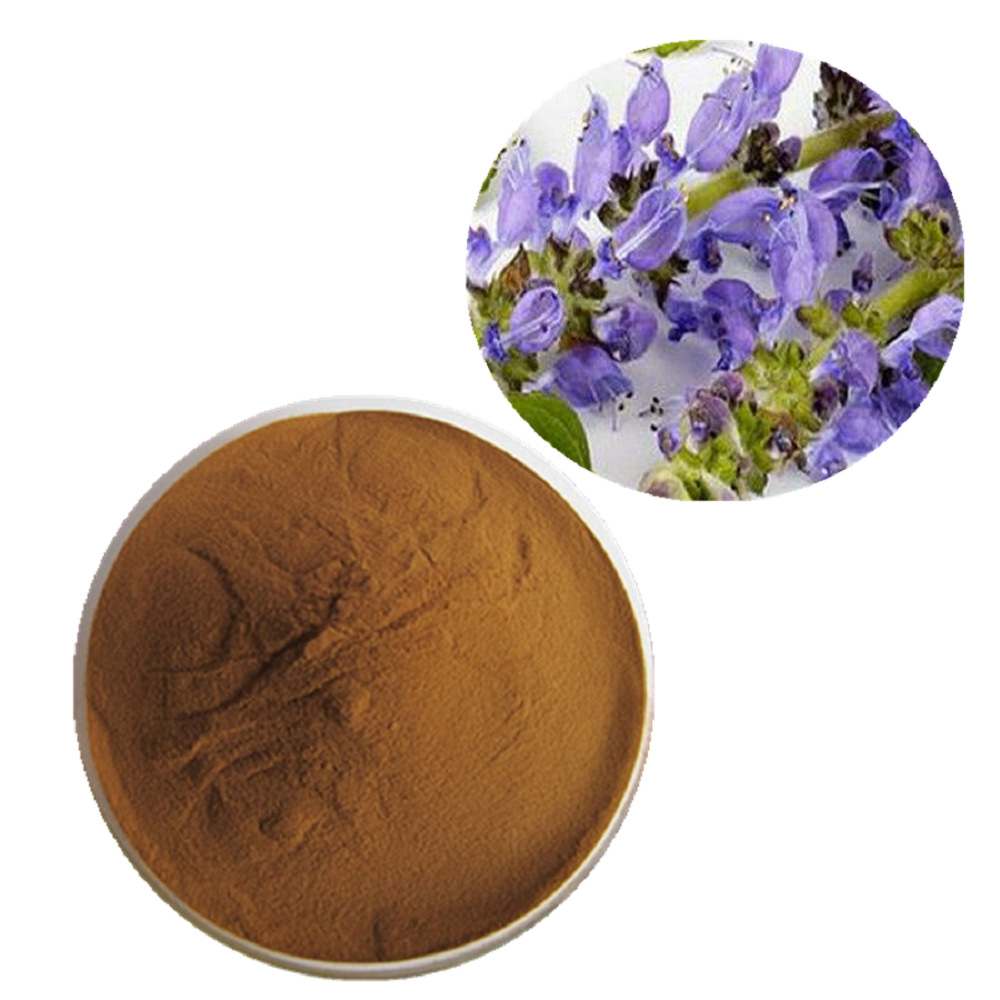 Coleus Forskohlii Root Extract 20% By HPLC, Packaging Type: HDPE Drum