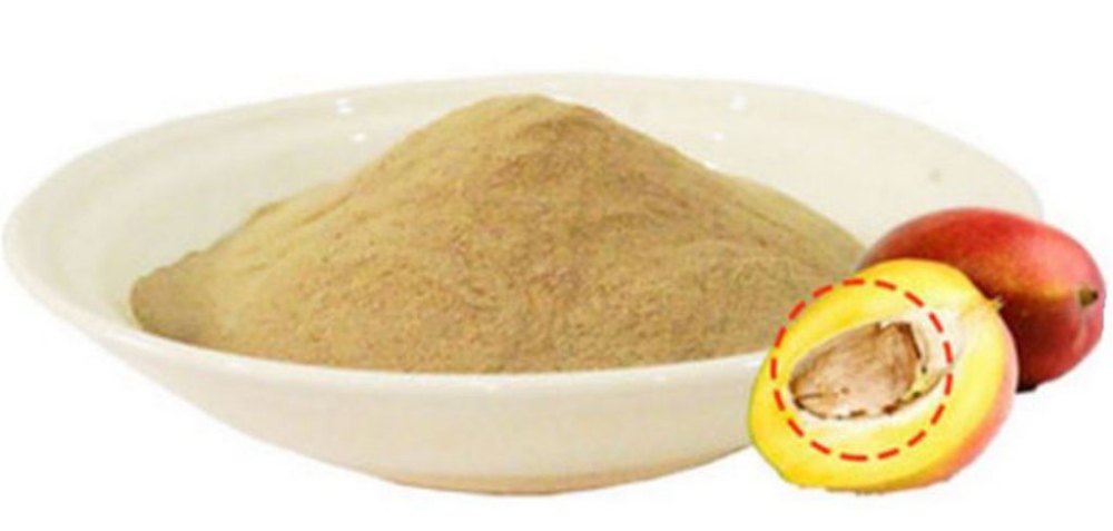 Mango Seed Extract (amra ghutli), Packaging Size: 5 Kg To 25 Kg