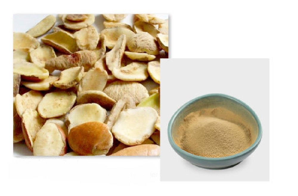 Brown Wild Mango Seed Extract Powder