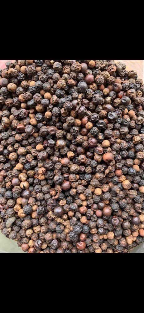 Whole Black Pepper Seeds, Packaging Type: Gunny Bag
