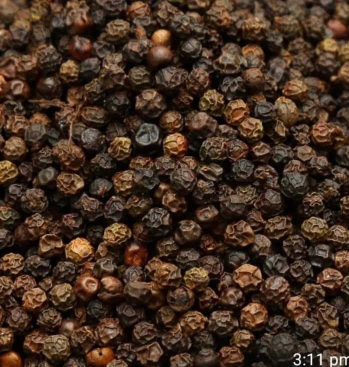 CRONUS Black Pepper Seeds Kerala