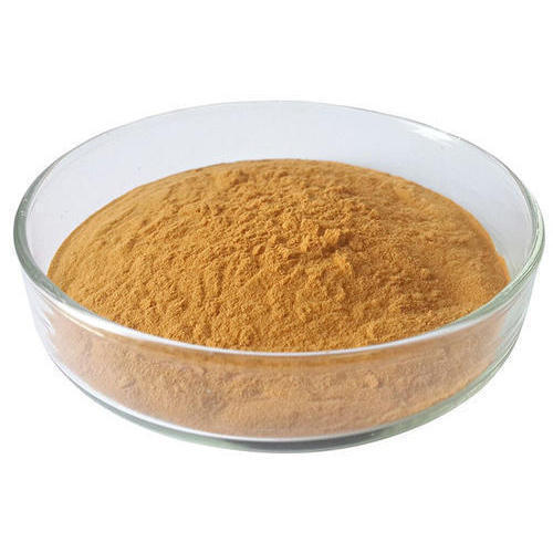 Astragalus Membranaceus Extract, Packaging Type: Packet