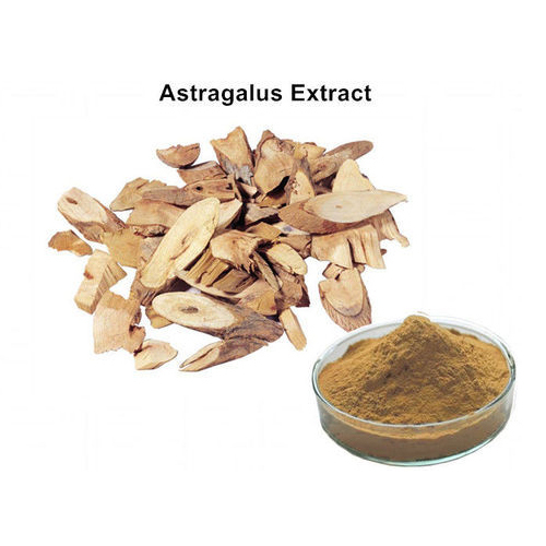 Phyto Herbal Astragalus Membranaceus Extract, Pack Size: 1kg and 5kg And 25kg