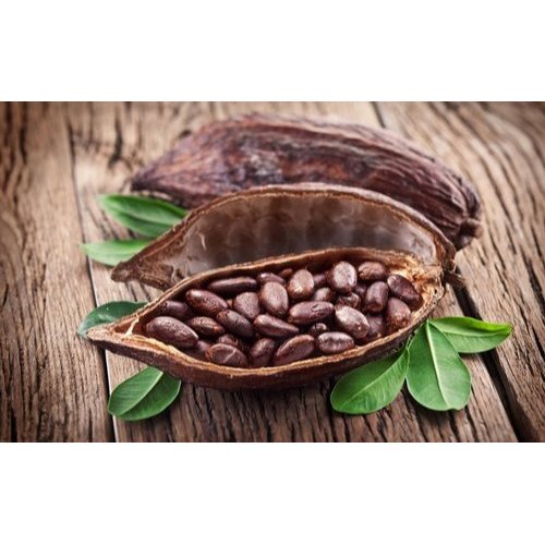 Pp Bag Granules Cocoa Beans Extract