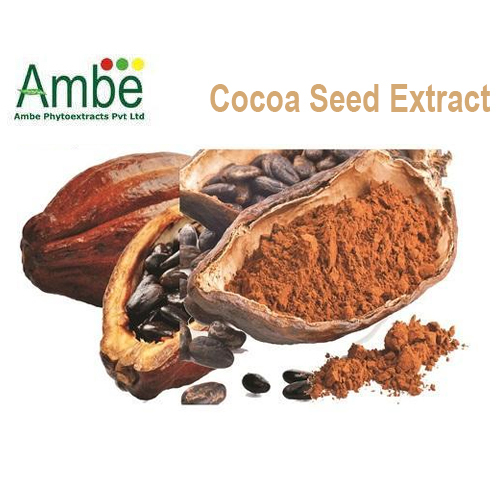 Cocoa Seed Extract