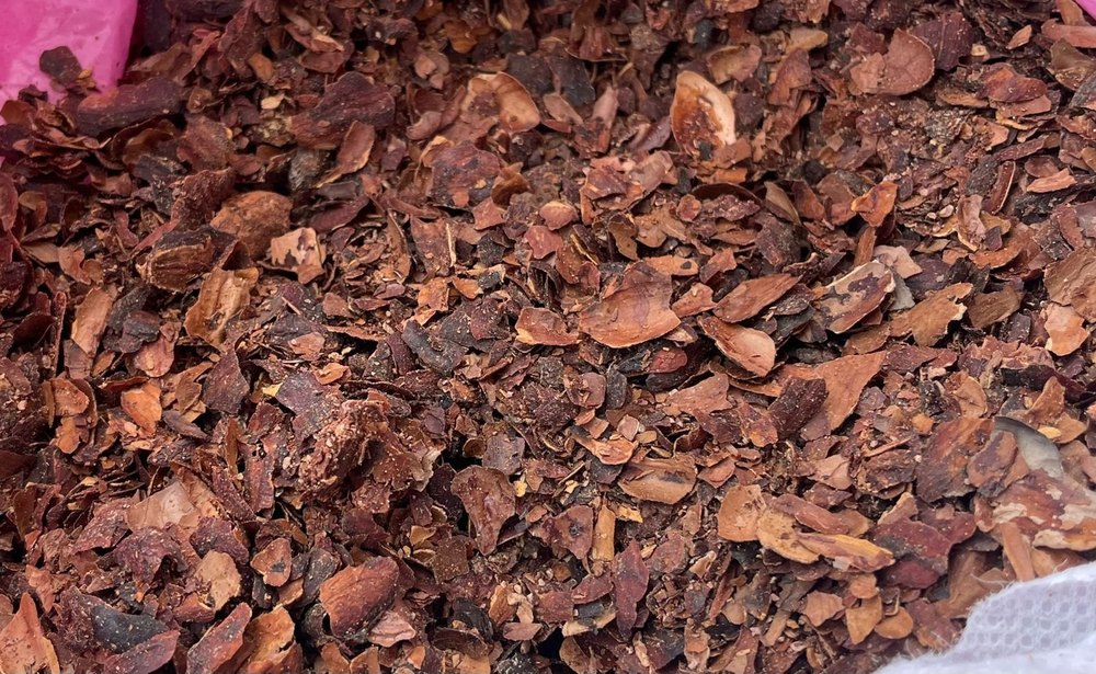 Cocoa Bean Husk, Packaging Type: GUNNY BAG, Packaging Size: 35 KG Bag