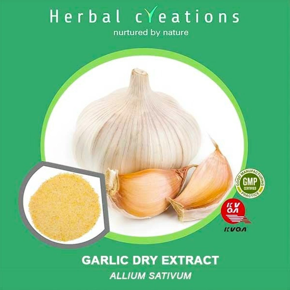 Garlic Dry Extract Allium Sativum