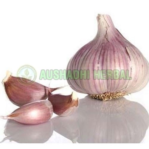 Aushadhi Herbal Garlic Extract