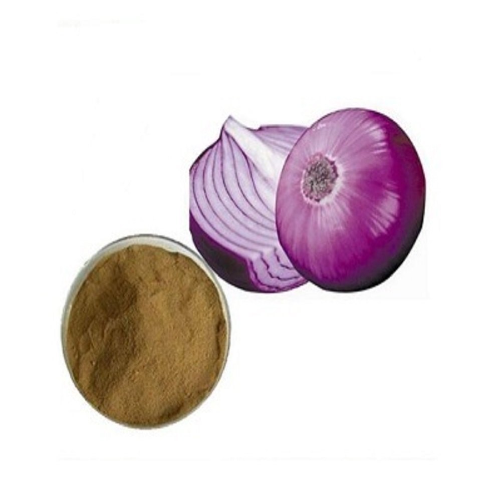 Ayurvedic Herbs Brown Allium Cepa Buib Extract, For Medicinal