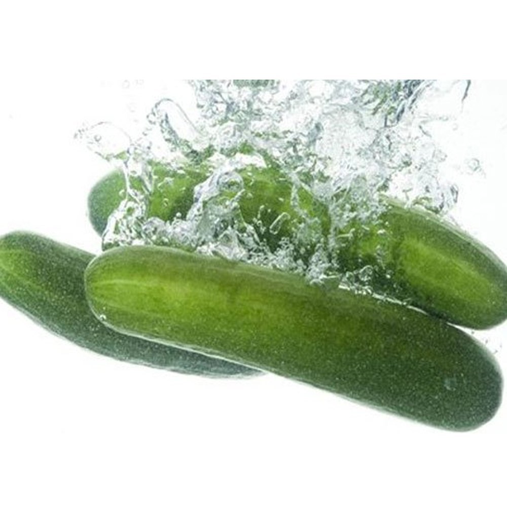 Cucumber Liquid Extract