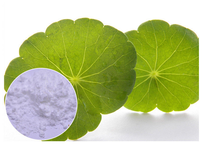 Centella Asiatica, Packaging Type: Packet