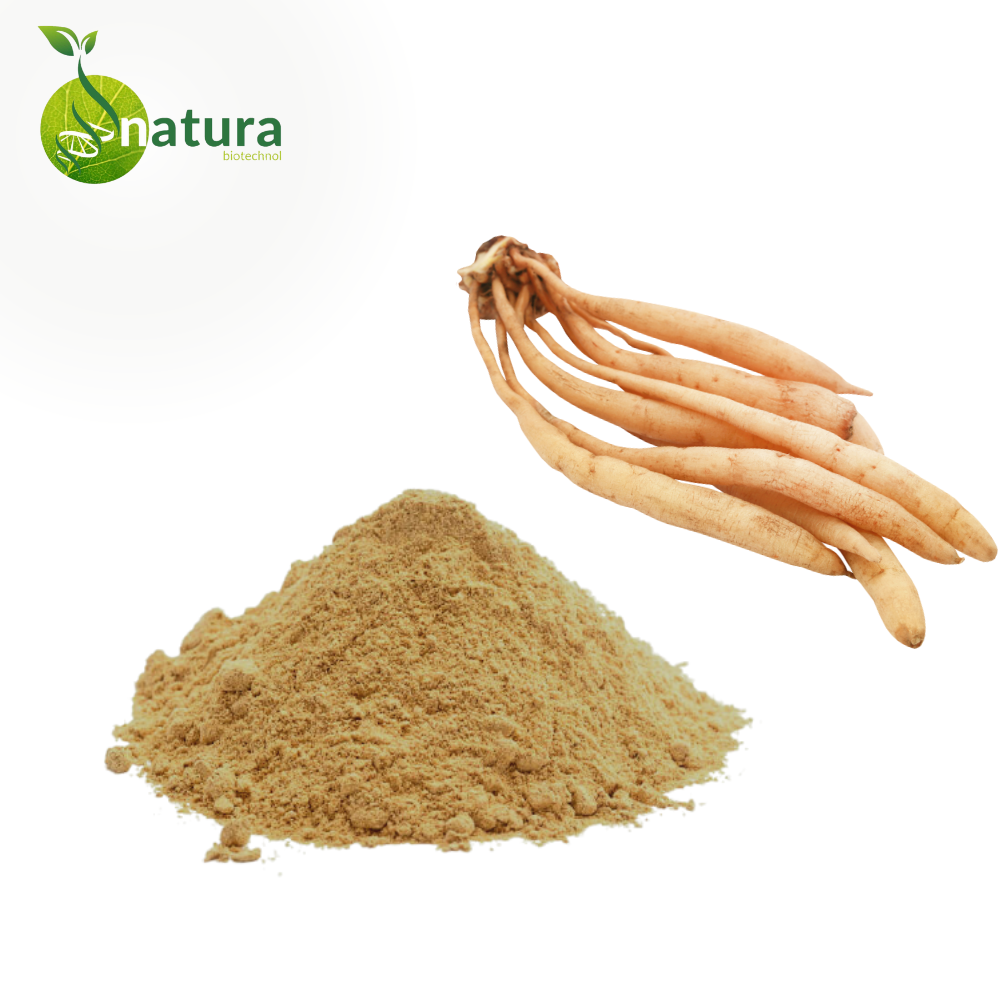 Natura Shatavari Extract, Packaging Size: 1 Kg, Packaging Type: Packet