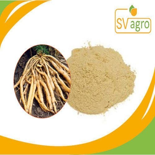 Shatavari Asparagus Extract Powder, Packaging Type: DRUMS, Packaging Size: 25KG