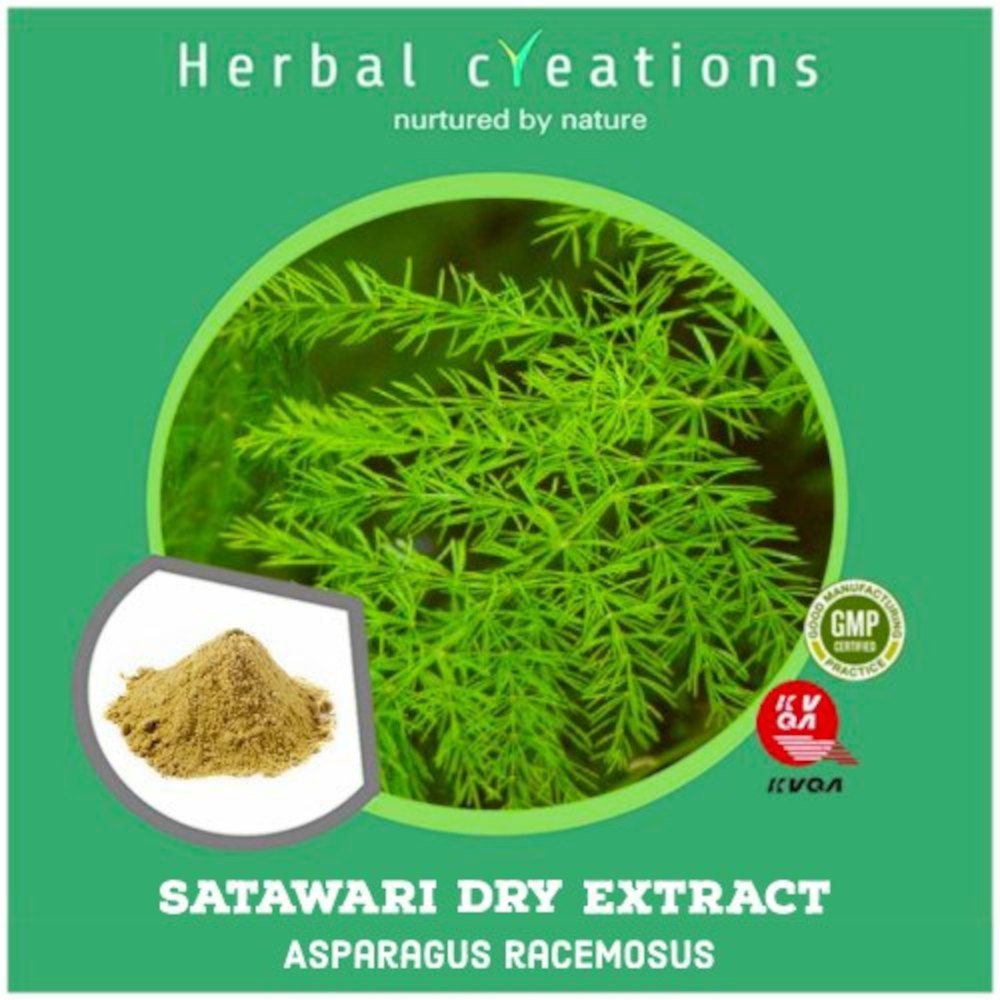 Shatavari Dry Extract