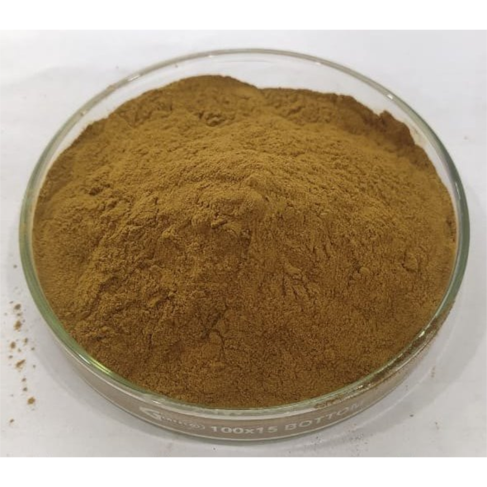 Terminalia Arjuna Extract, Packaging Type: HDPE Drum