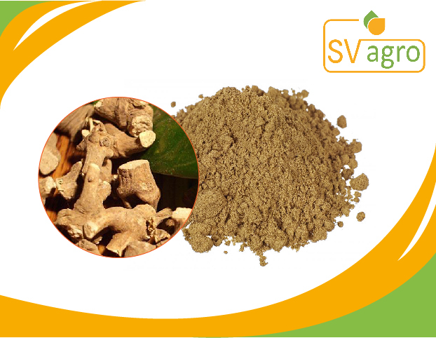 SV Agro Valeriana Officinalis Extract, Packaging Type: HDPE Drum And PP Polybag