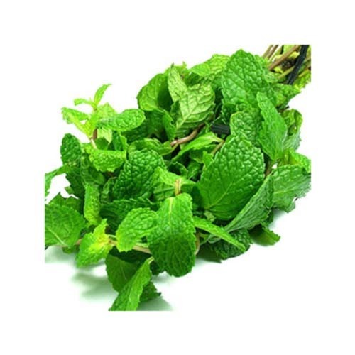 Green Heaven Peppermint Extract, Pack Size: 5 kg, Packaging Type: Polybag