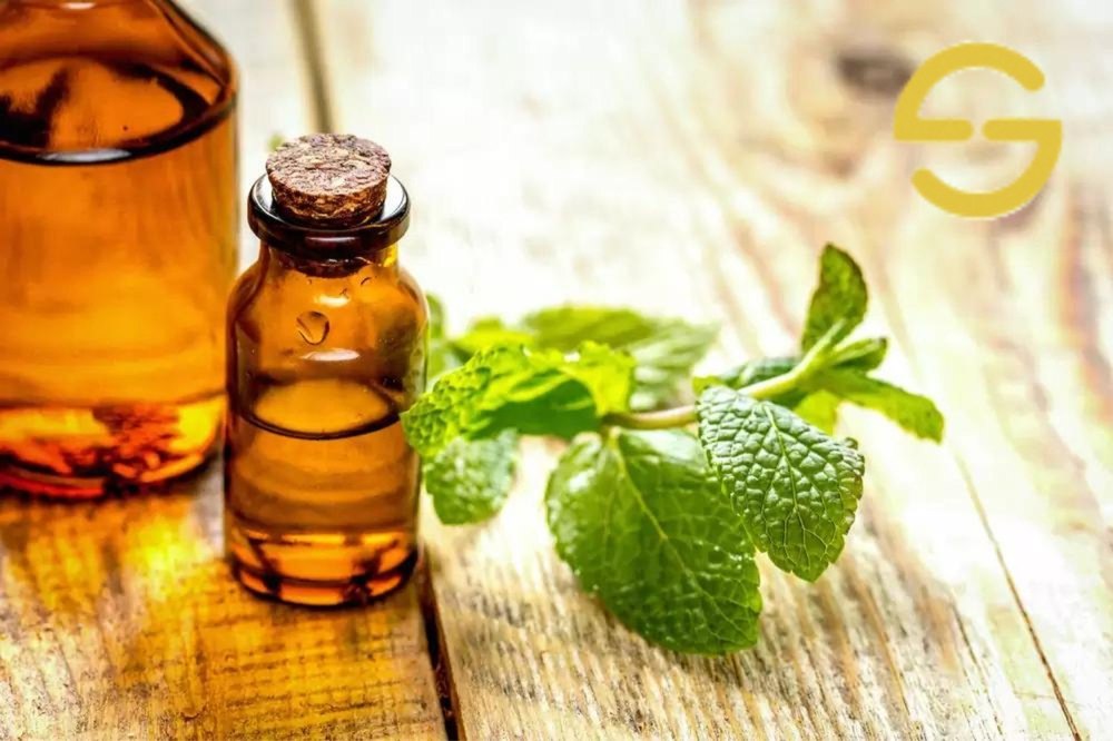 Mint Liquid Extract