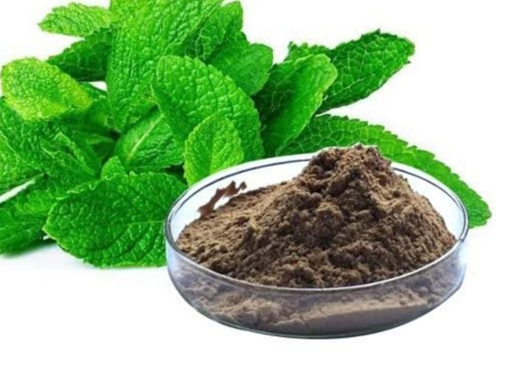 Pepper Mint Extract, Packaging Type: Loose