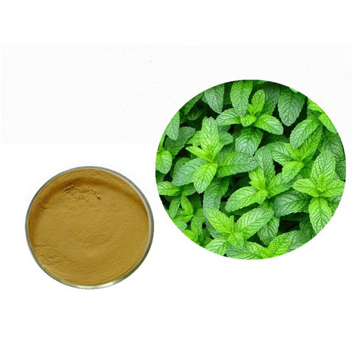 Pukhraj Herbals Mentha Leaf Extract