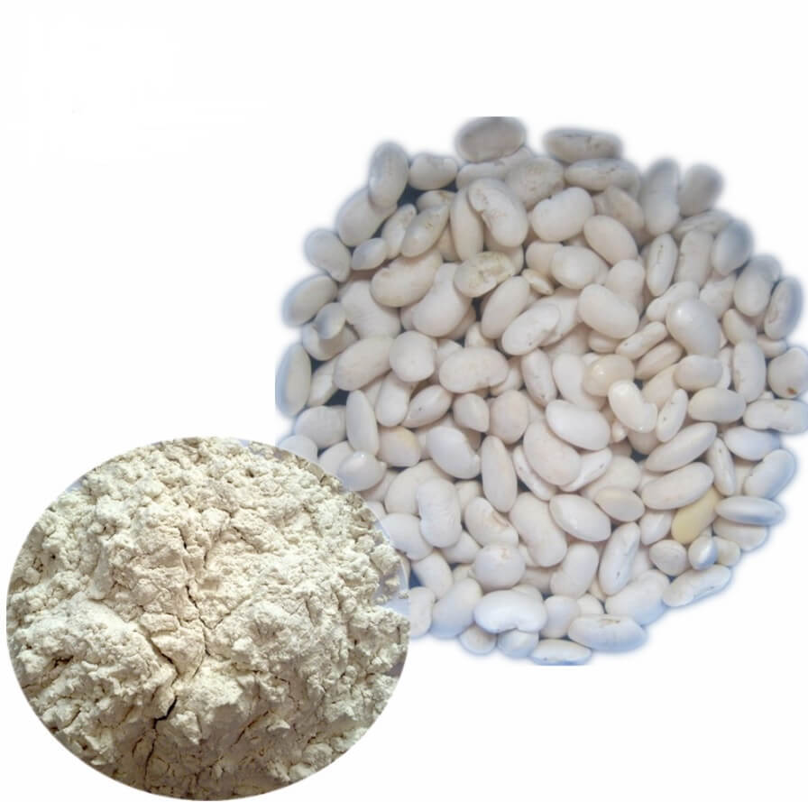 White Kidney Bean Extract, Packaging Type: Hdpe Drum, Pack Size: 25 Kgs