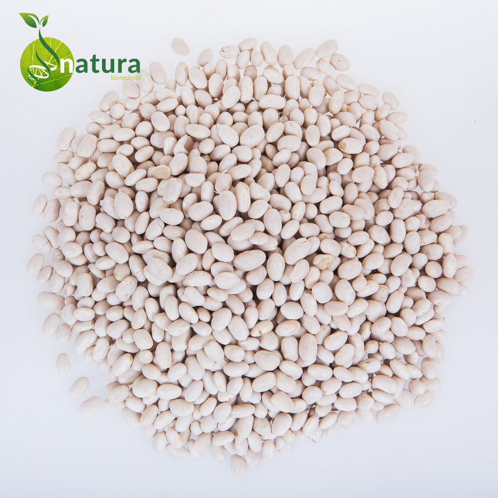 Natura White Kidney Beans Extract, Packaging Size: 1 Kg