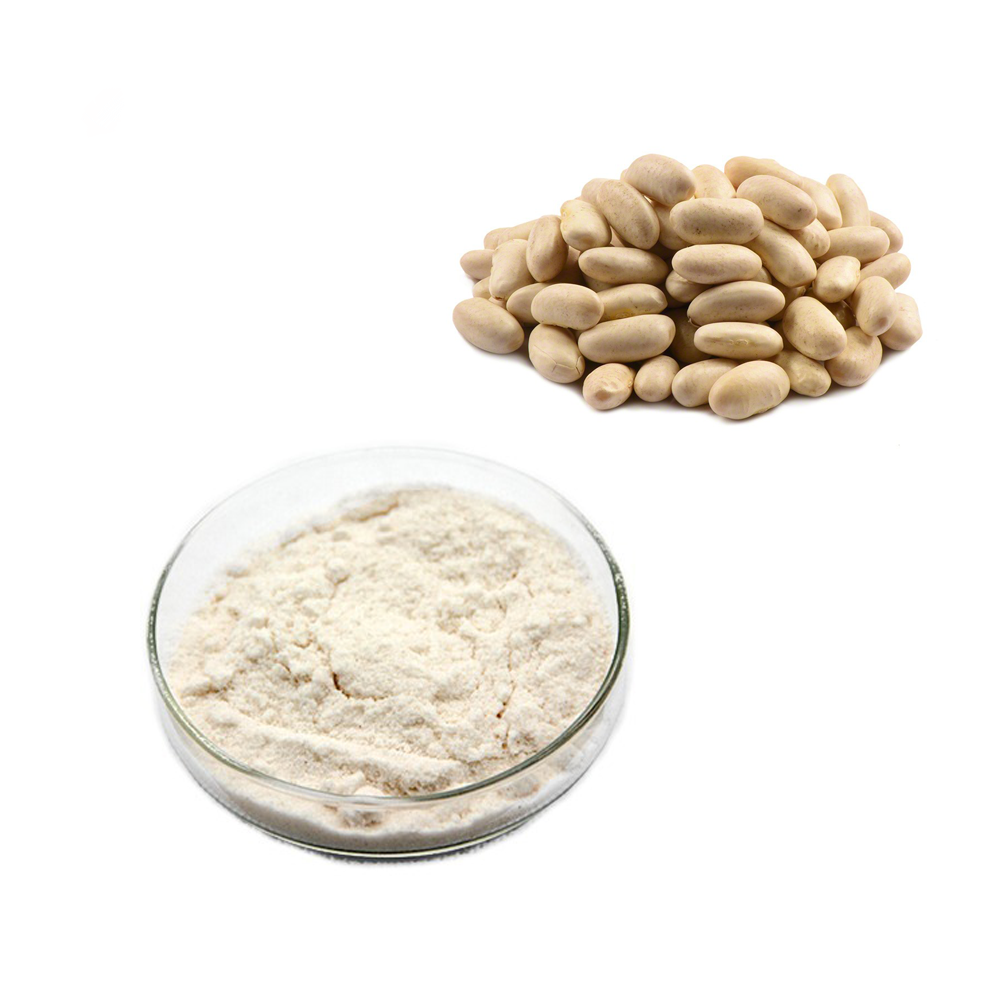 White Kidney Bean Powder, Packaging Type: Loose