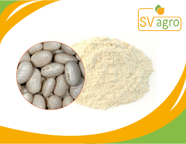 SVA White Kidney Beans Extract, Pack Size: 25 kg