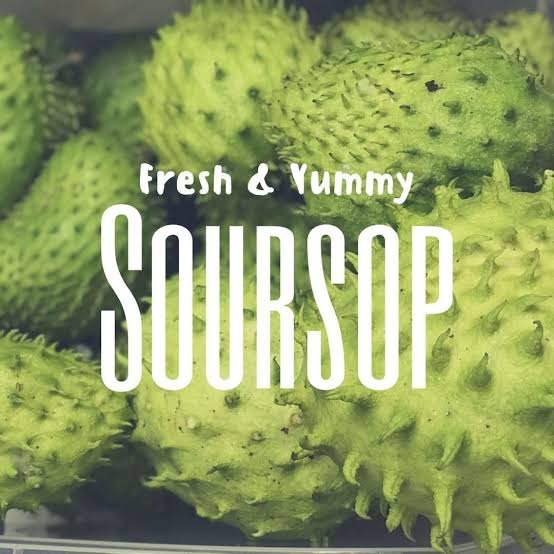 Green, Dry A Grade Graviola Fruit with free leaves, Soursop Fights Cancer, Packaging Size: 2 kg