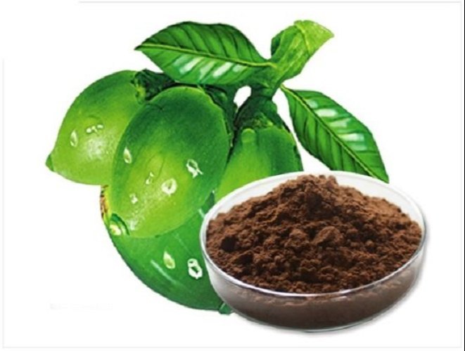 Powder Areca Catechu Extract, Packaging Type: Plastic Packet, Packaging Size: 25 Kg