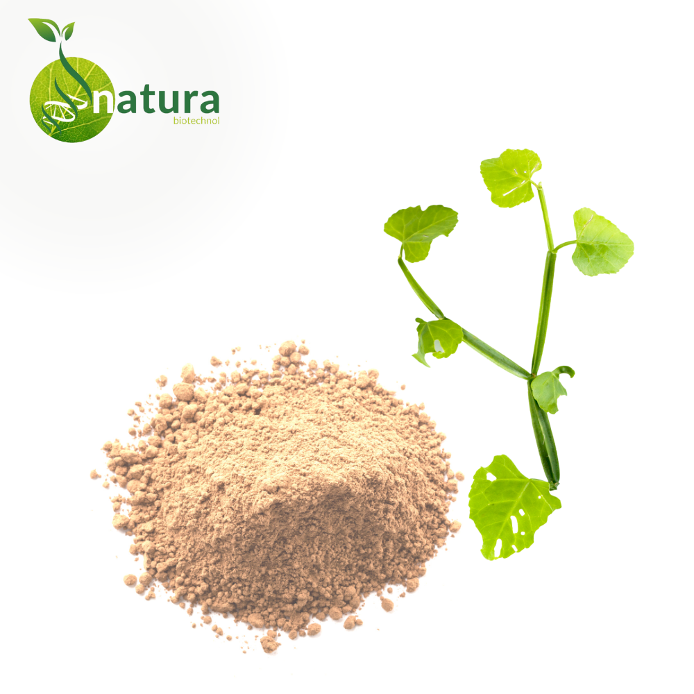 Natura Cissus Extract, Packaging Size: 1 Kg