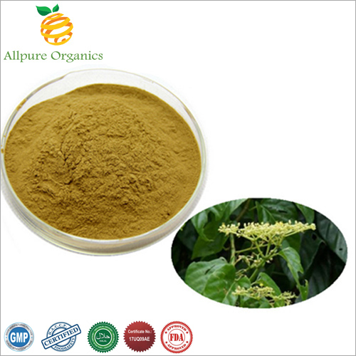 ALLPURE ORGANICS HADJOD EXTRACT, Packaging Type: HDPE DRUM