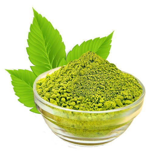 Tulsi Extract, Powder