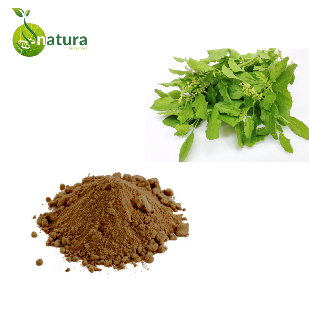 Natura Tulsi Extract, 1 kg, Powder