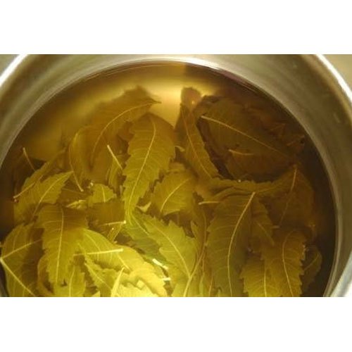 NTE Herbal Neem Extract, Packaging Size: 20kg, 50kg, Packaging Type: Drum