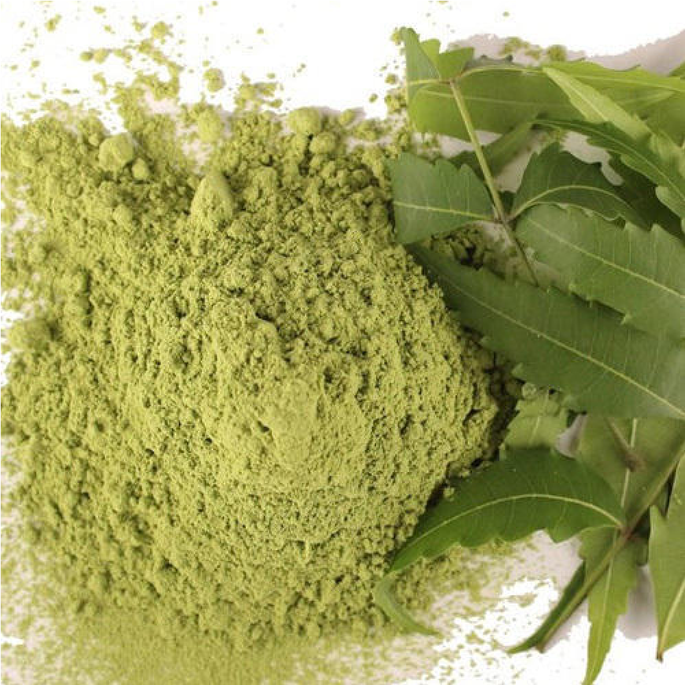 Neem Extract Powder