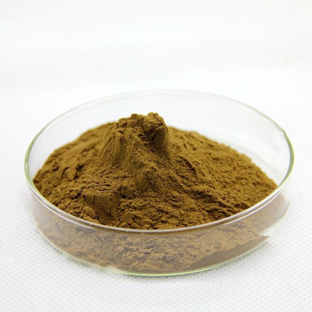 Bacopa Monnieri Extract, Pack: 1 kg