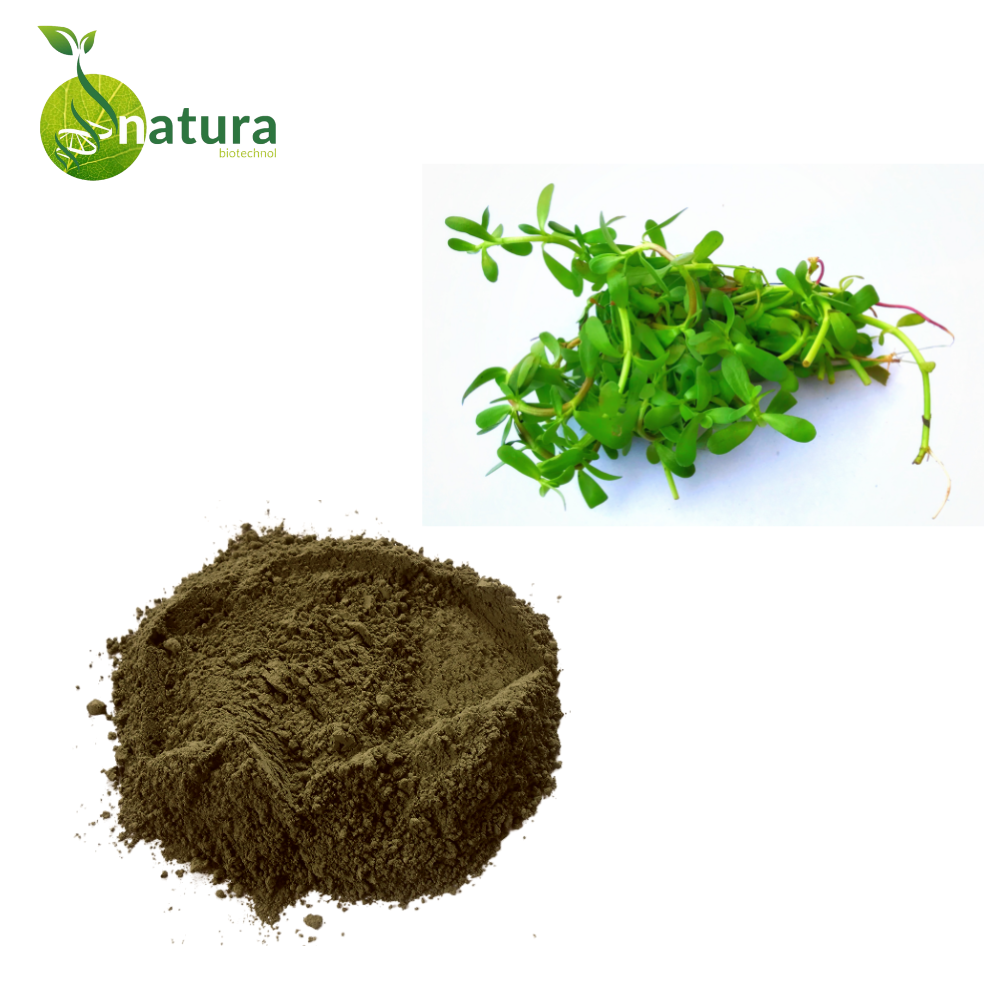 Natura Bacopa Extract, Packaging Size: 1 Kg