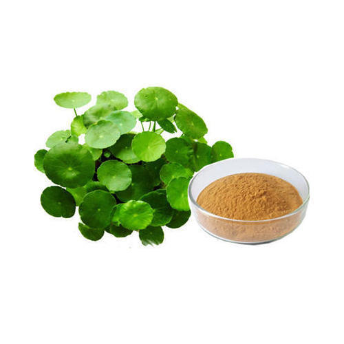 Bacopa Monnieri Extract, Pack Size: 5 Kg