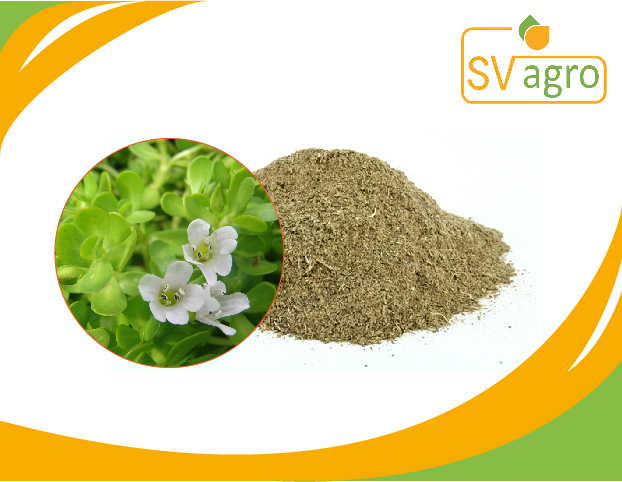 SV Agro Bacopa Maonniera/Brahmi Extract, Packaging Type: PP Polybags, HDPE Drums, Pack Size: 25kg