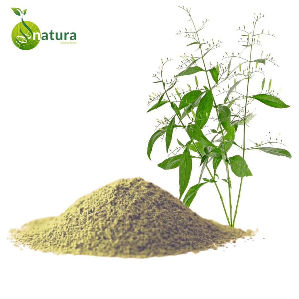 Natura Andrographis Extract, Packaging Size: 1 Kg