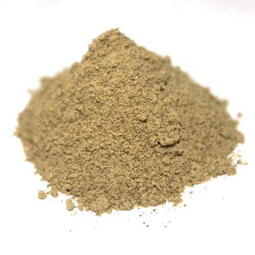 Andrographis Paniculata Powder