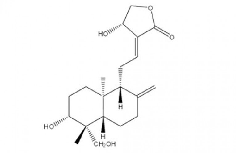 Andrographolide 95%