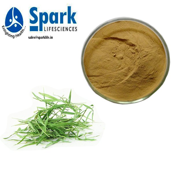 Powder Brown Bamboo Extracts, Packaging Type: Bags, Drums, Packaging Size: 10kg-25kg