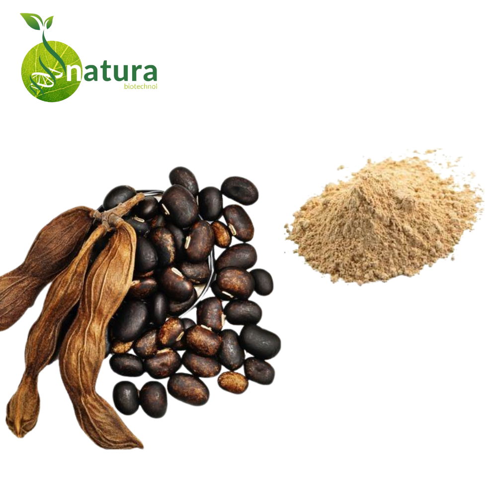 Natura Mucuna Extract, Packaging Type: Packet, Packaging Size: 1 kg