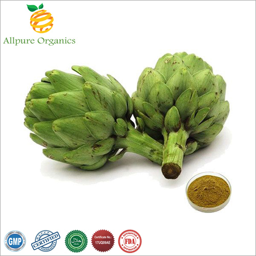 Allpure Organics Cynara Scolymus Artichoke Extract