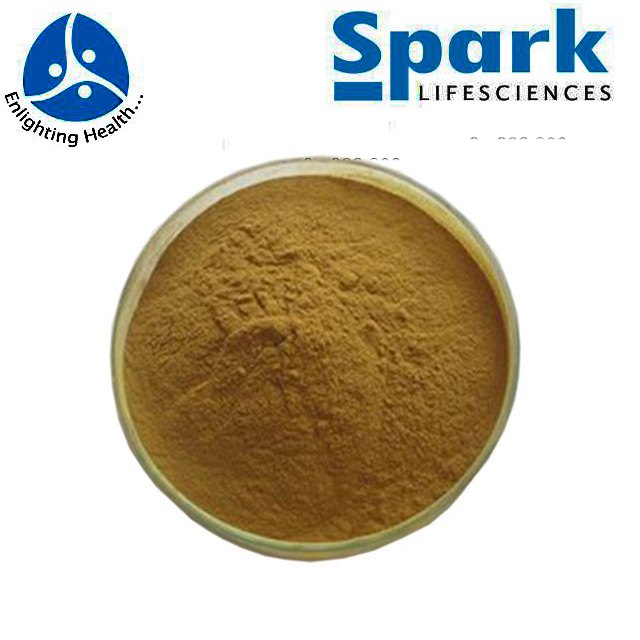 SPARK Brown Artichoke Extracts, Boswellia Serrata, Packaging Type: Bags, Box