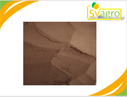 SV AGROFOOD Brown Artichoke extract, Packaging Type: Drum, Packaging Size: 25Kg