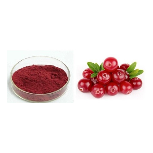 Cranberry Extract, Pack Size: 25 Kg