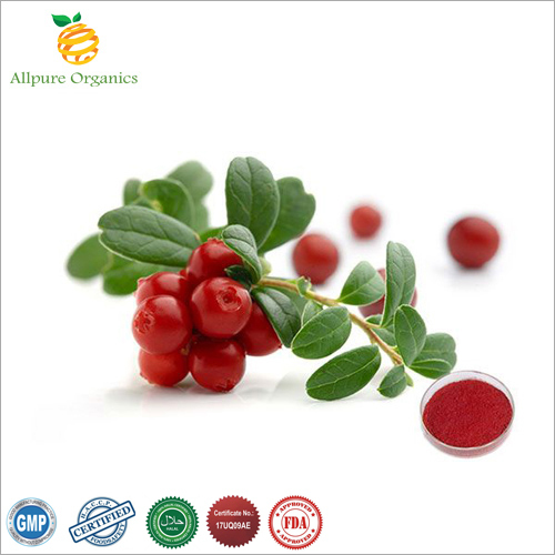 Allpure Organics Dark Pink Cranberry Extract